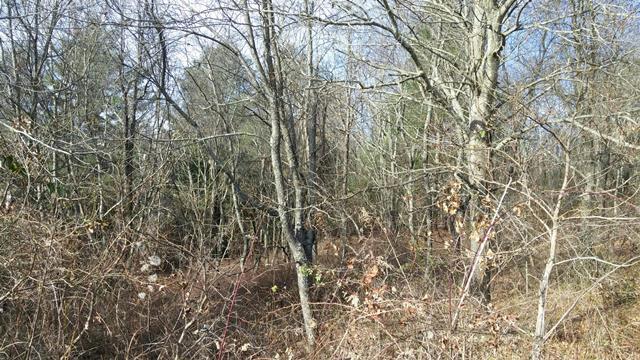 Image for December 8, 2018 - 60+/- Acres offered in 11 tracts - Fancy Gap, VA