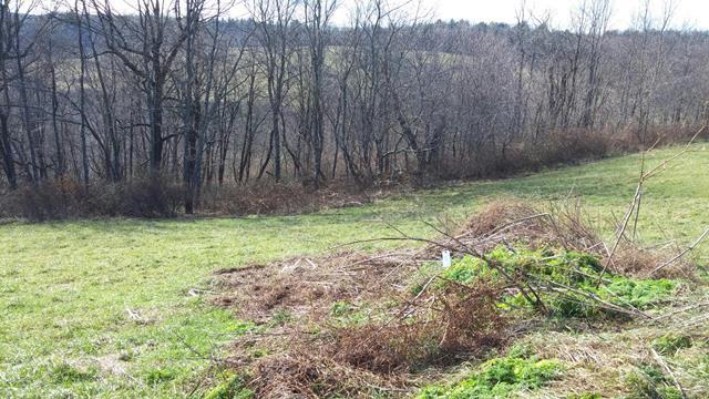 Image for December 8, 2018 - 60+/- Acres offered in 11 tracts - Fancy Gap, VA