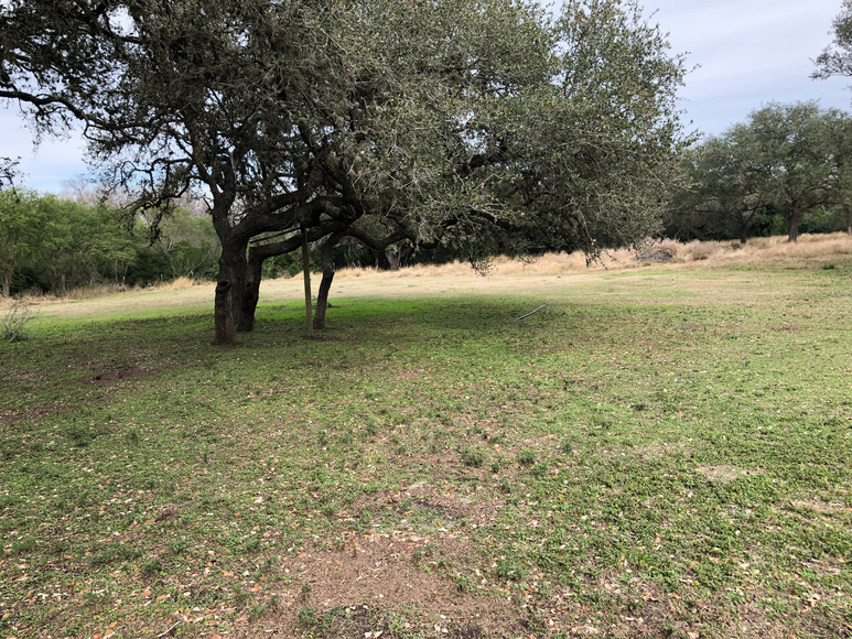 Image for 171 Danforth Road - Goliad 77963, Goliad County