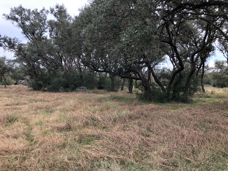 Image for 171 Danforth Road - Goliad 77963, Goliad County
