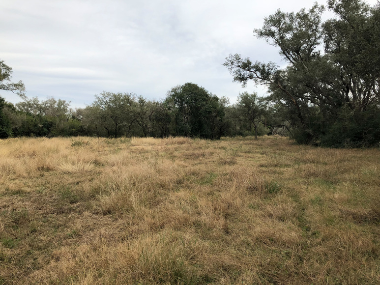 Image for 171 Danforth Road - Goliad 77963, Goliad County