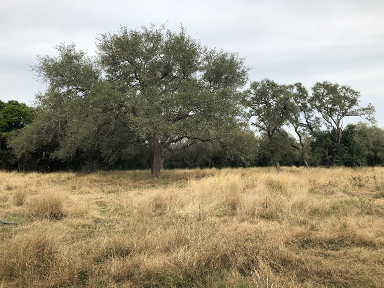 Image for 171 Danforth Road - Goliad 77963, Goliad County