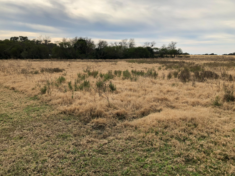 Image for 171 Danforth Road - Goliad 77963, Goliad County