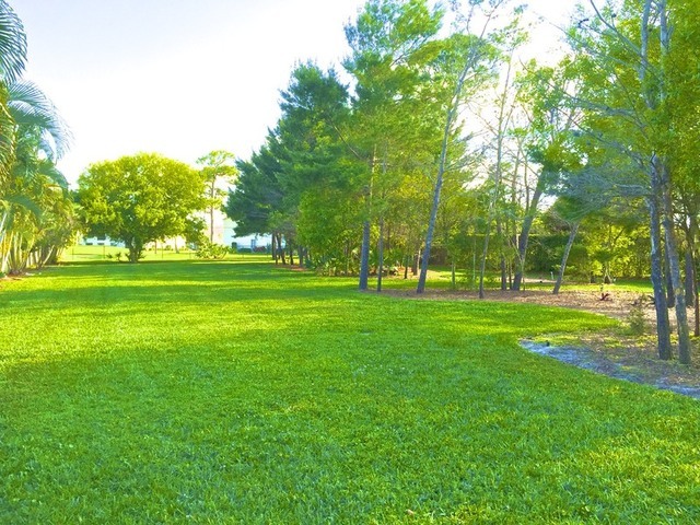 Image for ABSOLUTE AUCTION of Half Acre Rocky Point Homesite