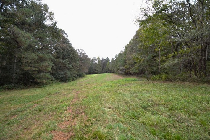 Image for 56 Acres +/- Denny Road, Ashland, AL Absolute Online Only Auction Ashland, Al