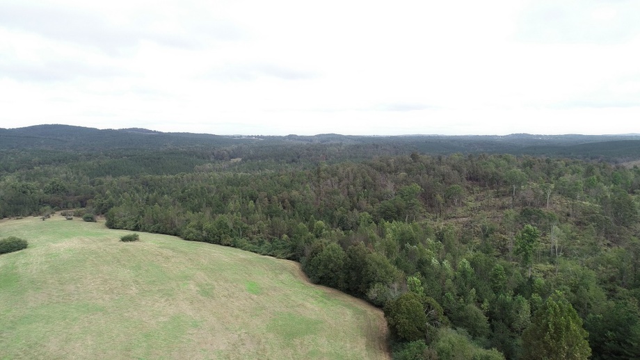 Image for 34 Acres +/- County Road 206, Wedowee, AL - Absolute Auction! Wedowee, AL