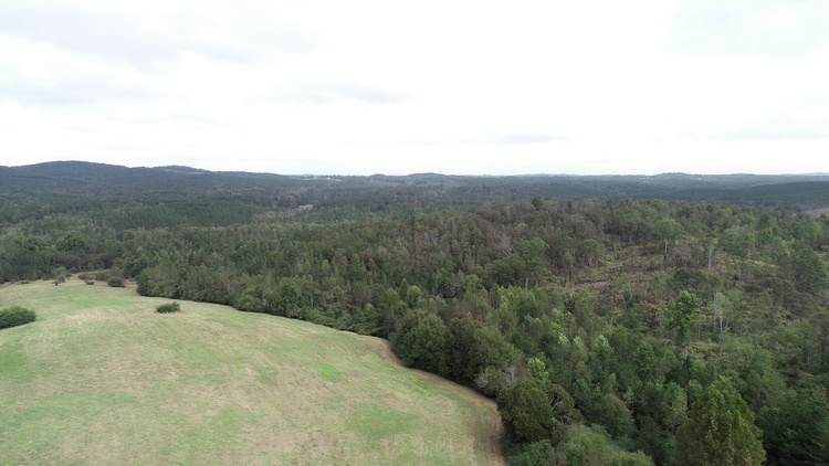 Image for 34 Acres +/- County Road 206, Wedowee, AL - Absolute Auction! Wedowee, AL