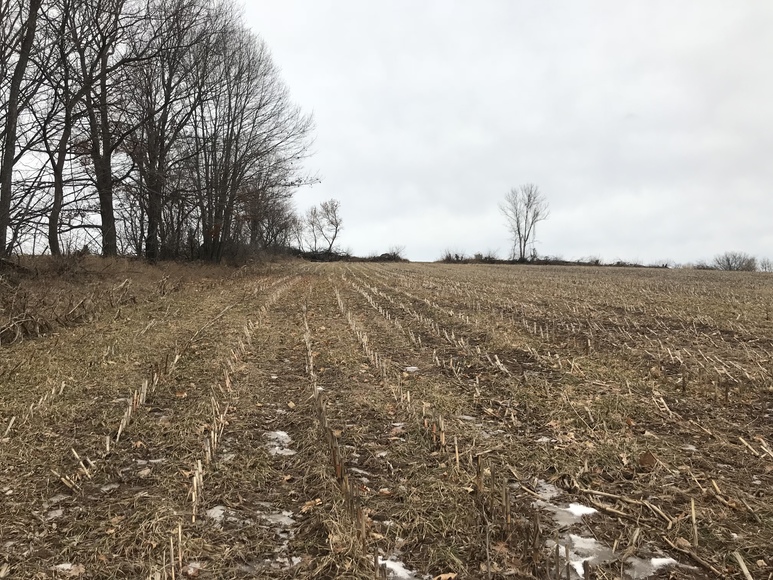 Image for Ready Trust - Approx 20 Acres - Great Wildlife Habitat