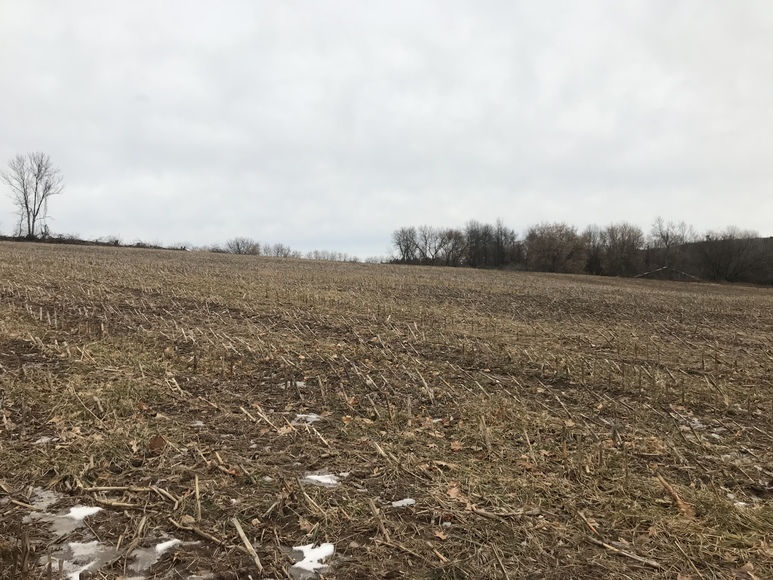 Image for Ready Trust - Approx 20 Acres - Great Wildlife Habitat