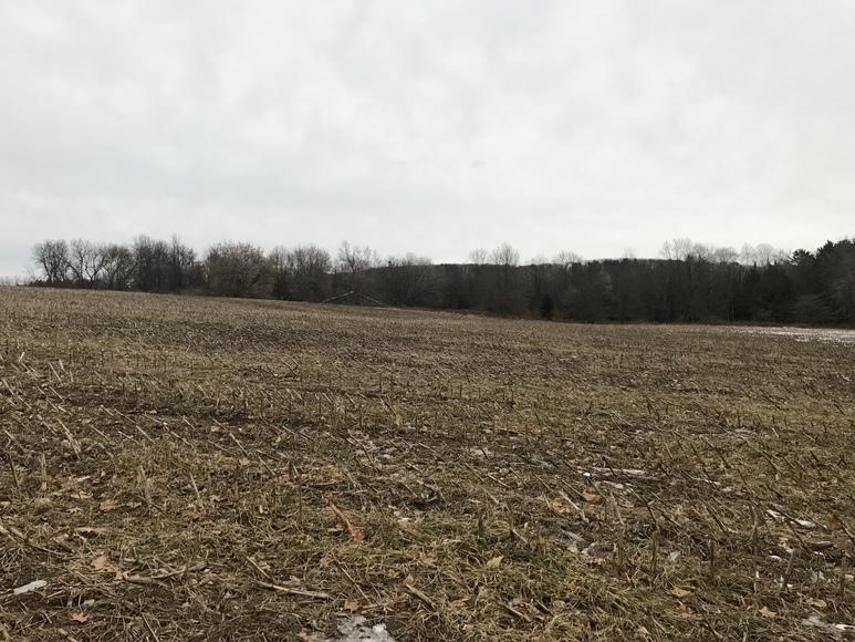 Image for Ready Trust - Approx 20 Acres - Great Wildlife Habitat