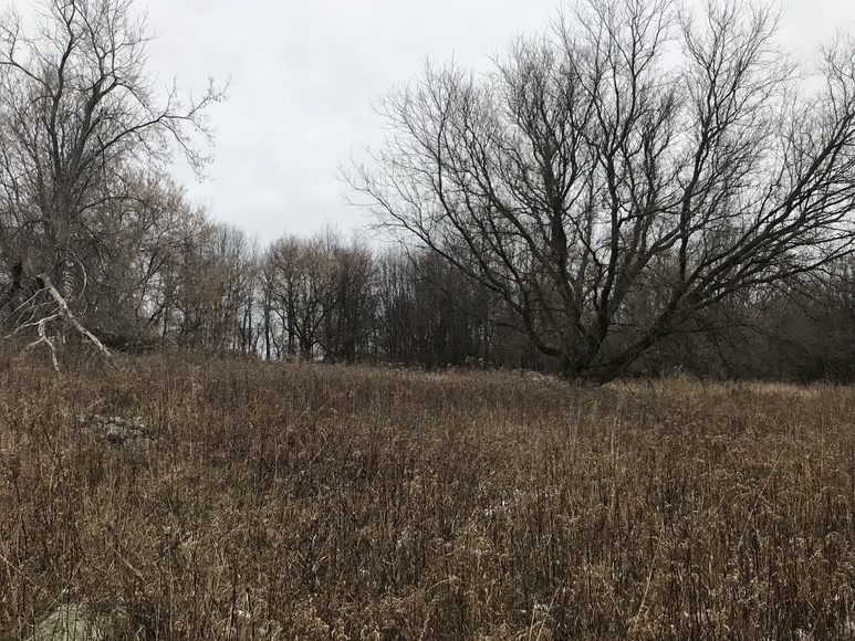 Image for Ready Trust - Approx 20 Acres - Great Wildlife Habitat