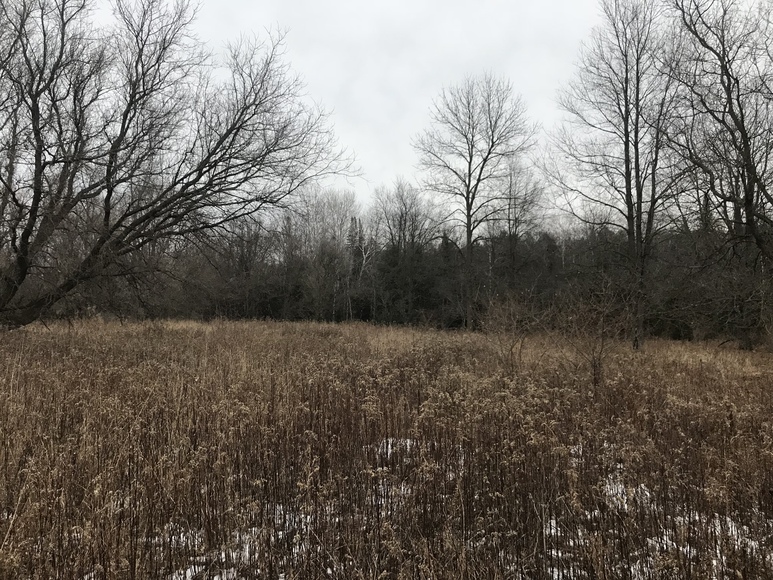 Image for Ready Trust - Approx 20 Acres - Great Wildlife Habitat