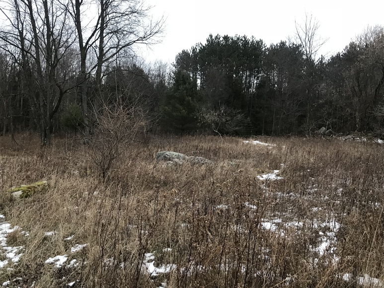Image for Ready Trust - Approx 20 Acres - Great Wildlife Habitat
