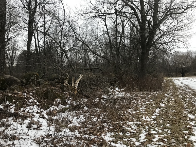 Image for Ready Trust - Approx 20 Acres - Great Wildlife Habitat