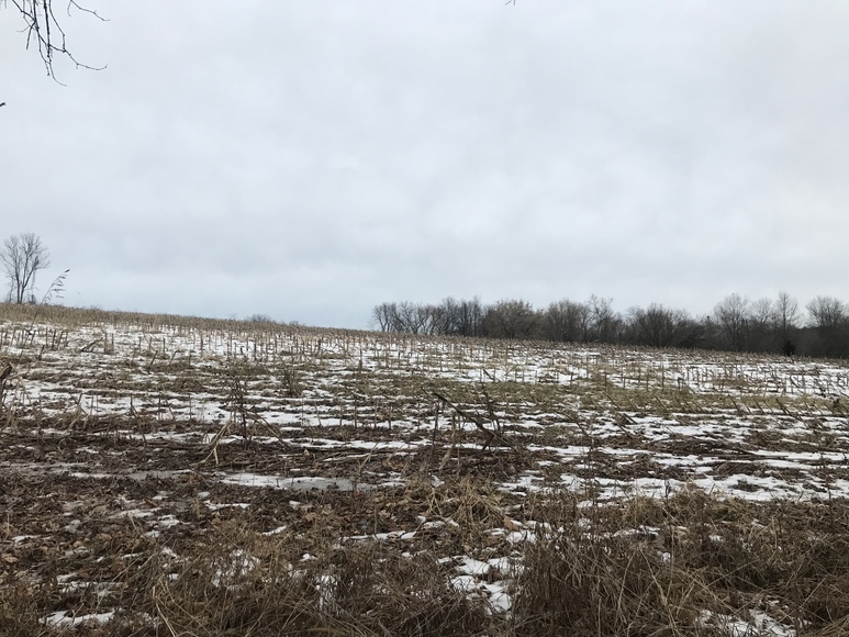 Image for Ready Trust - Approx 20 Acres - Great Wildlife Habitat