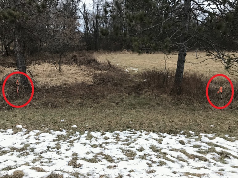 Image for Ready Trust - Approx 20 Acres - Great Wildlife Habitat