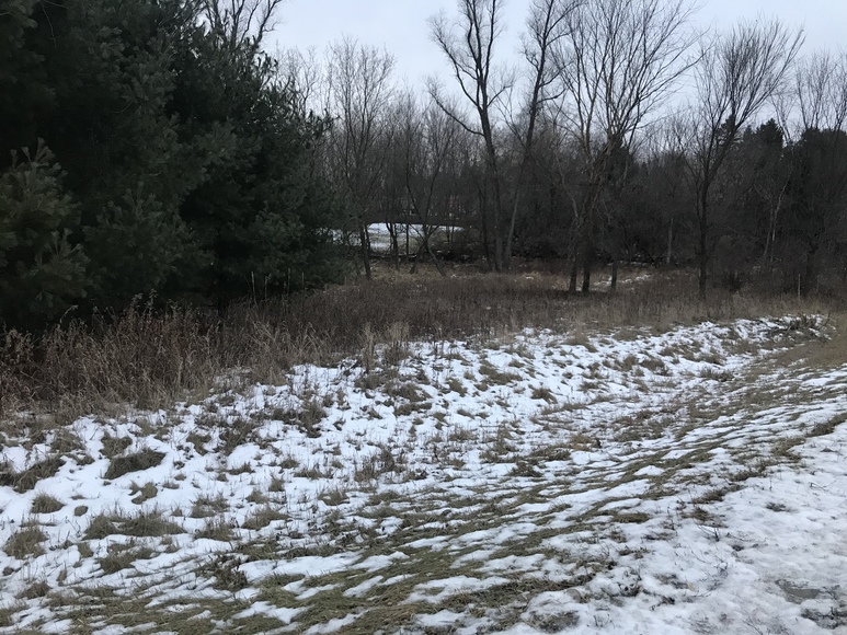 Image for Ready Trust - Approx 1.38 Acres - Buildable Lot