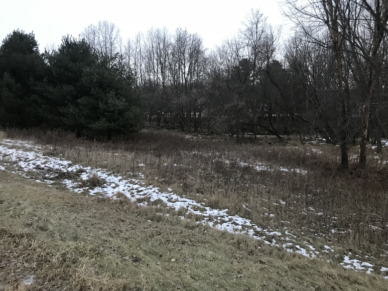 Image for Ready Trust - Approx 1.38 Acres - Buildable Lot