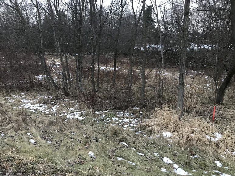 Image for Ready Trust - Approx 1.38 Acres - Buildable Lot
