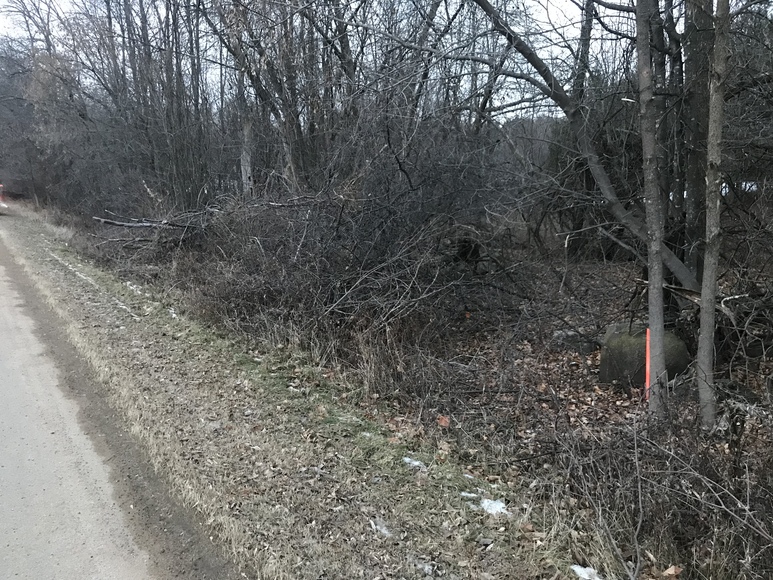 Image for Ready Trust - Approx 1.38 Acres - Buildable Lot