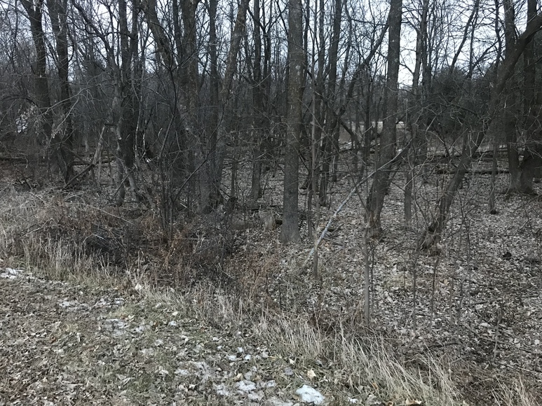 Image for Ready Trust - Approx 1.38 Acres - Buildable Lot