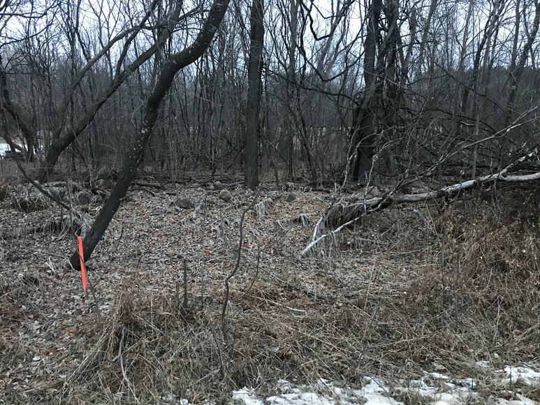 Image for Ready Trust - Approx 1.38 Acres - Buildable Lot