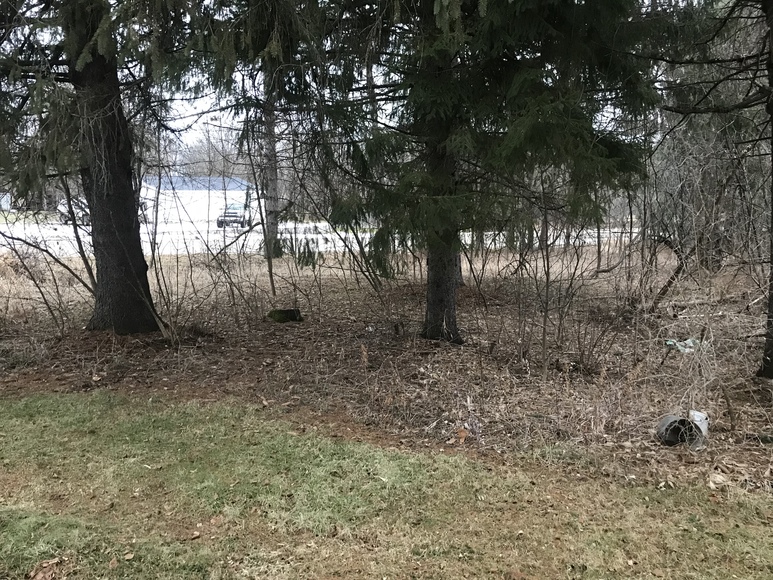 Image for Ready Trust - 4 Bed / 2 Bath 2 Story Home