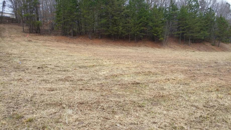 Image for Commercial Land in Pilot Mountain, NC