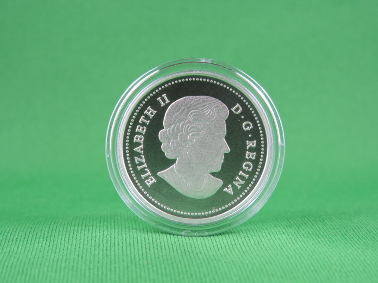 Image for THE DRAGON DANCE A CHINESE TRADITION