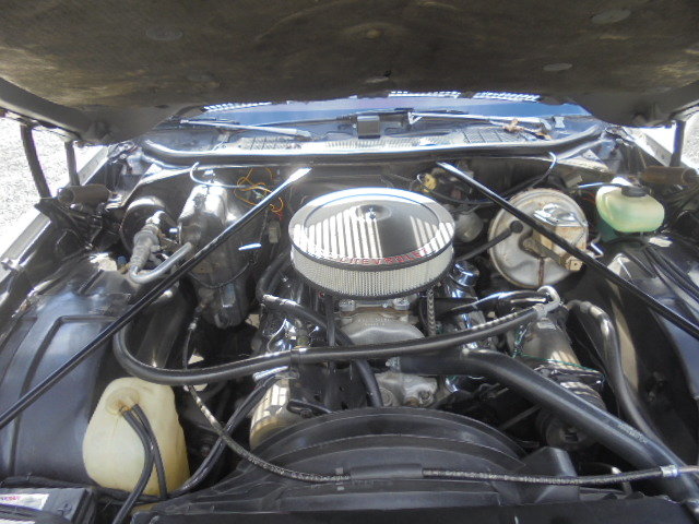 Image for PUBLIC ESTATE AUCTION (Living & Deceased Estates)