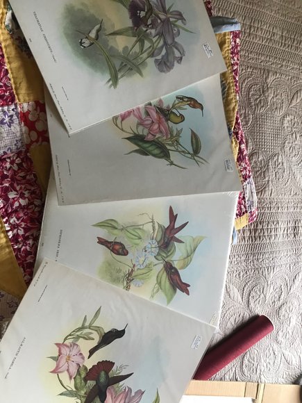 Image for PUBLIC ESTATE AUCTION (Living & Deceased Estates)