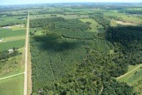 Image for 1529808 - 2385 170TH AVE Emerald, Wisconsin 54013-0000