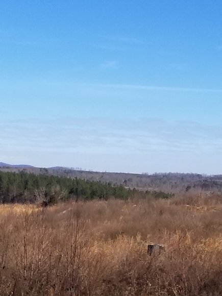 Image for Lot 5 Theta Mill Rd