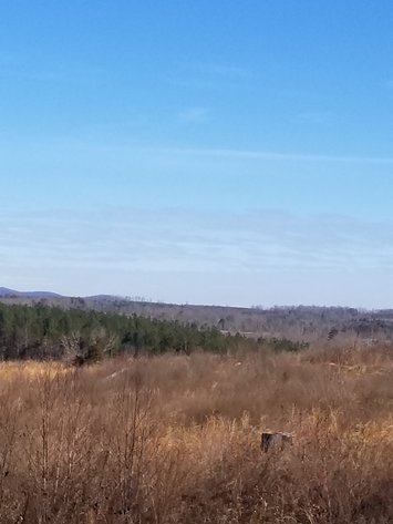 Image for Lot 5 Theta Mill Rd