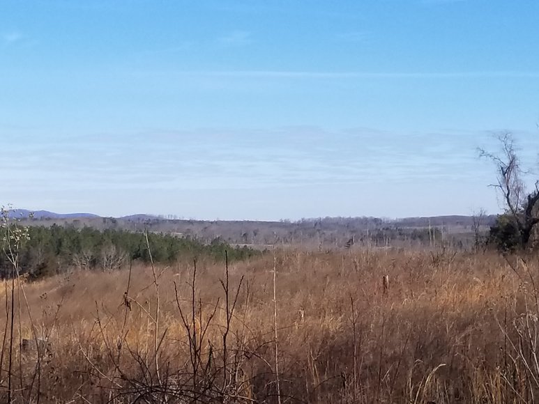 Image for Lot 5 Theta Mill Rd