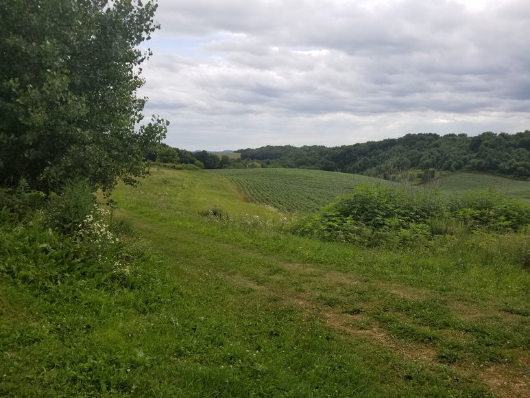 Image for 1529808 - 2385 170TH AVE Emerald, Wisconsin 54013-0000