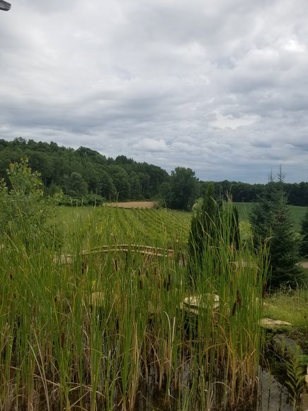 Image for 1529808 - 2385 170TH AVE Emerald, Wisconsin 54013-0000