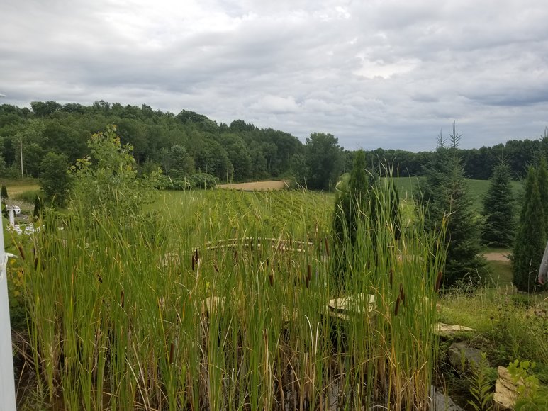 Image for 1529808 - 2385 170TH AVE Emerald, Wisconsin 54013-0000