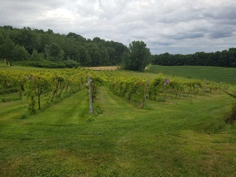 Image for 1529808 - 2385 170TH AVE Emerald, Wisconsin 54013-0000