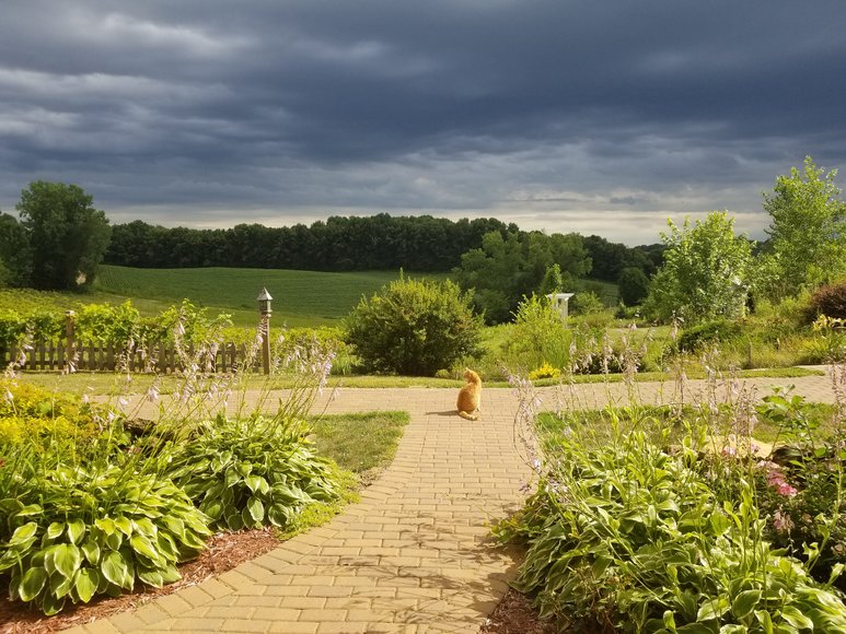 Image for 1529808 - 2385 170TH AVE Emerald, Wisconsin 54013-0000