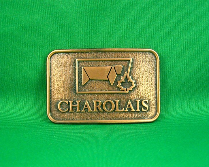 Image for BELT BUCKLES MAJOR NAME COLLECTION