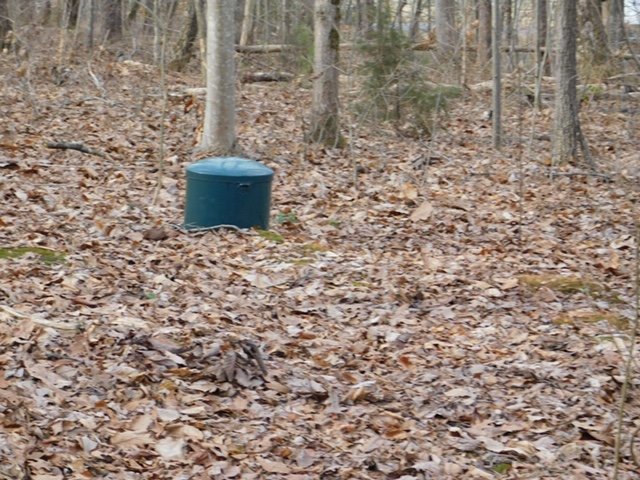 Image for Immaculate Custom Built 3 BR/2 BA Brick Home on 3.5 +/- Acres Centrally Located in Beautiful Madison County, VA