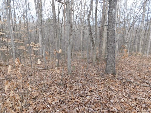 Image for Immaculate Custom Built 3 BR/2 BA Brick Home on 3.5 +/- Acres Centrally Located in Beautiful Madison County, VA