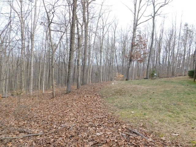 Image for Immaculate Custom Built 3 BR/2 BA Brick Home on 3.5 +/- Acres Centrally Located in Beautiful Madison County, VA