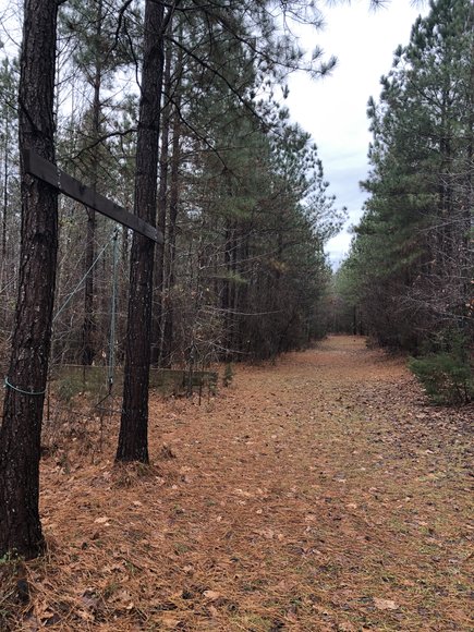 Image for Land Auction (Nathalie, VA)