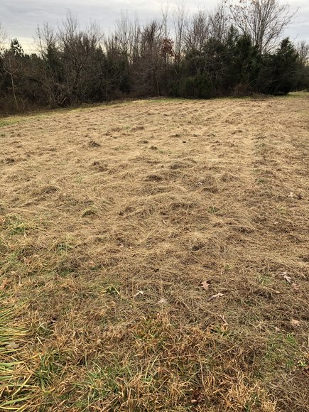 Image for Land Auction (Nathalie, VA)