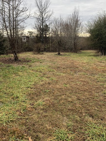 Image for Land Auction (Nathalie, VA)