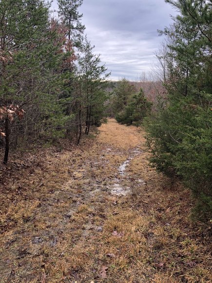 Image for Land Auction (Nathalie, VA)