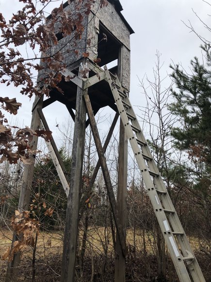 Image for Land Auction (Nathalie, VA)