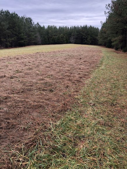 Image for Land Auction (Nathalie, VA)